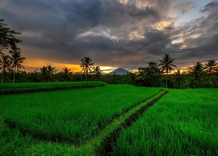 منتجع Kawi Ubud 4*