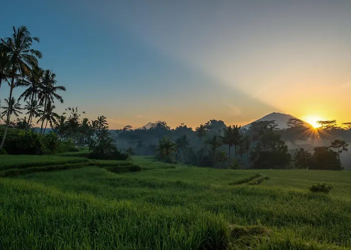 Kawi Ubud منتجع